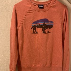 Patagonia crew neck